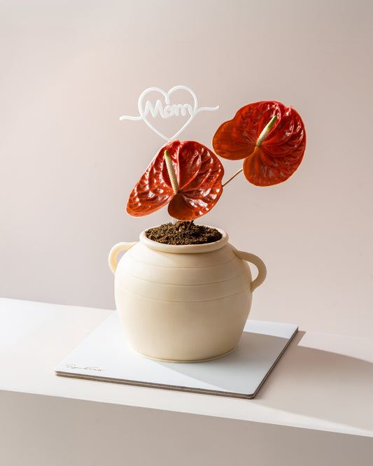 Mother’s Day Cake + Flower