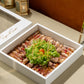 Chicken Musakhan Filling