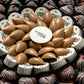 Arsh Al Eid Set 2 (Delivery after 25)